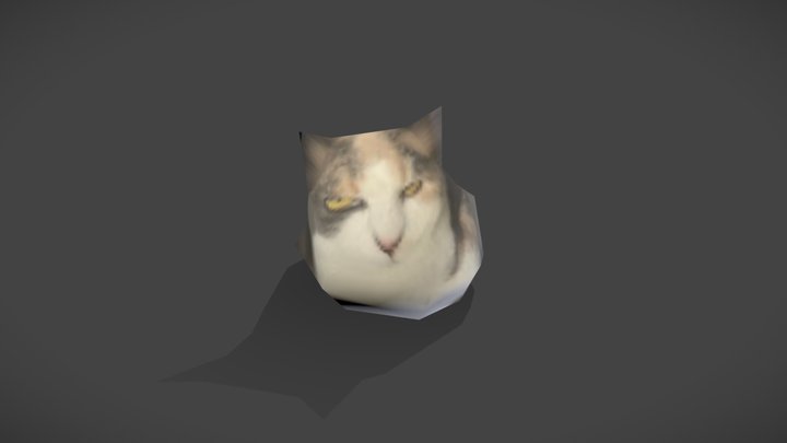 lowpoly cat 3D Model