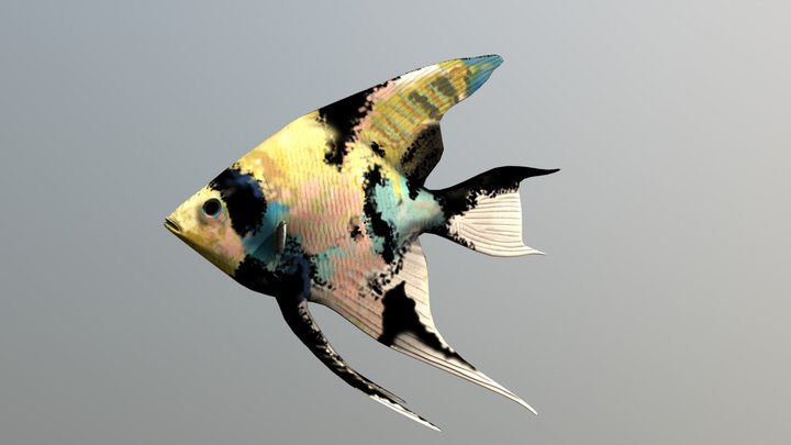 Scalar Fish 3D Model