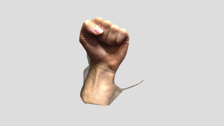 Hand 3D Model