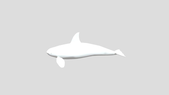ORCA X 3D Model