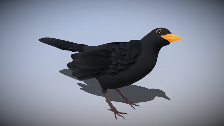 Animated black bird 3D Model
