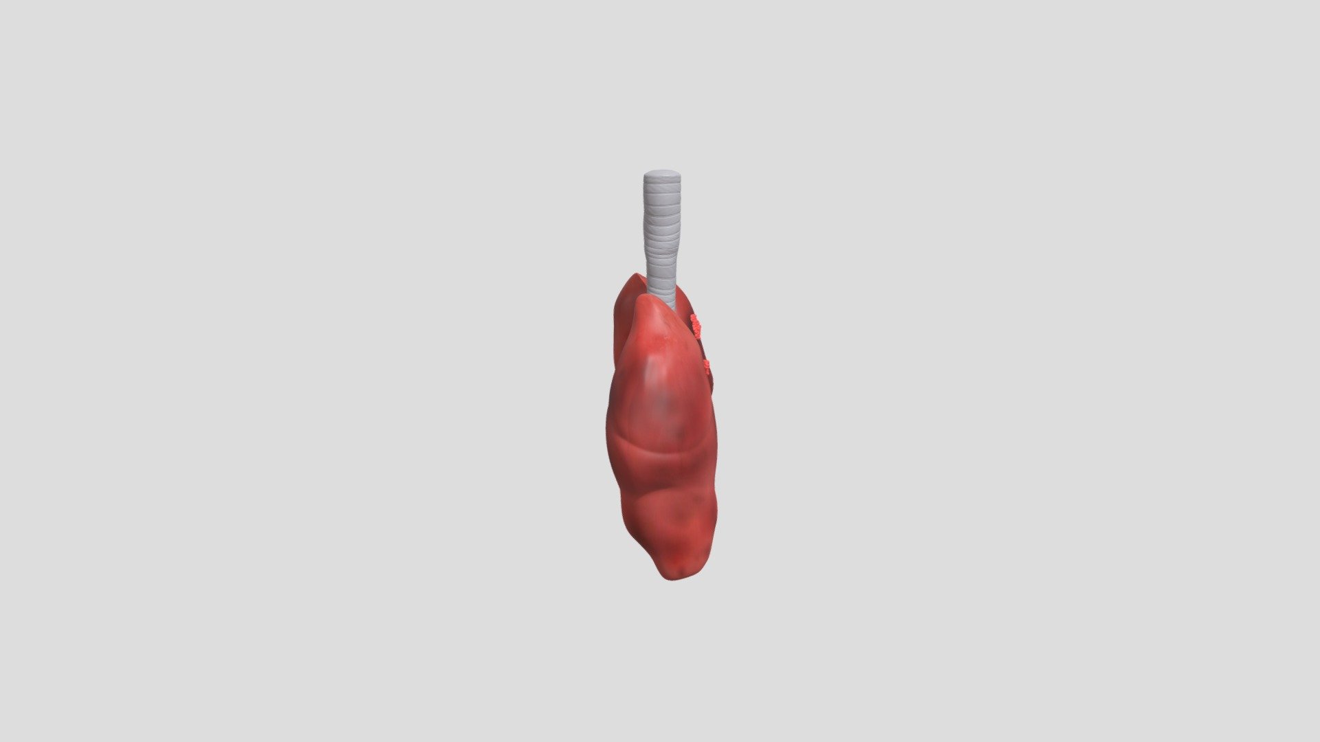 Laboratório do Câncer - Pulmão | Estágio 4 — Sketchfab embed 3D viewer