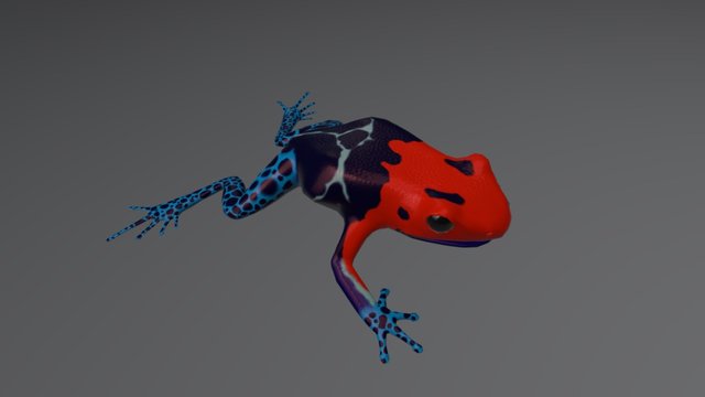 Colorful Dart Frog 3D Model