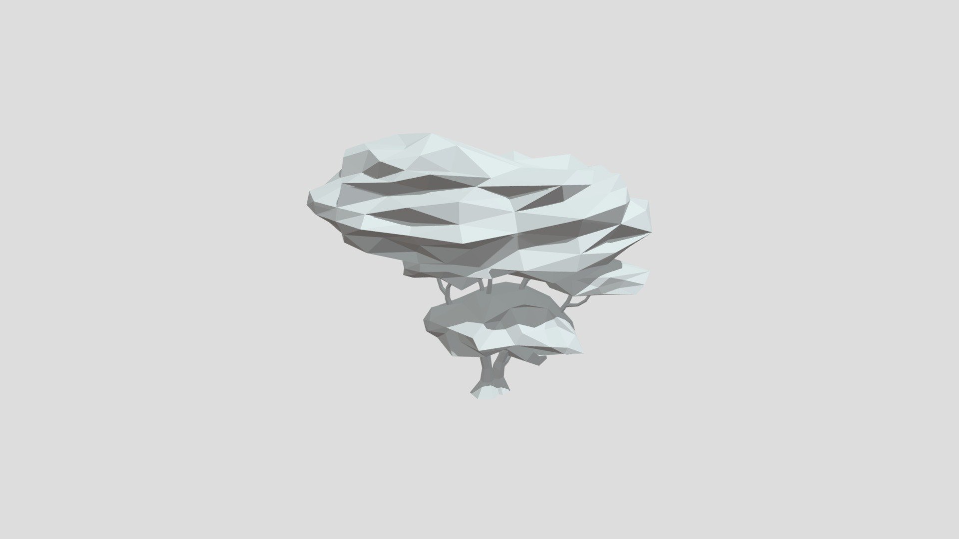 Macassar tree from Poly by Google