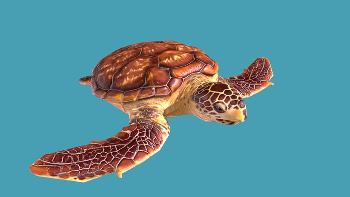 Loggerhead Sea Turtle | Blue Odyssey 3D Model