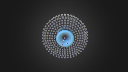 Simple aquaporin transport 3D Model