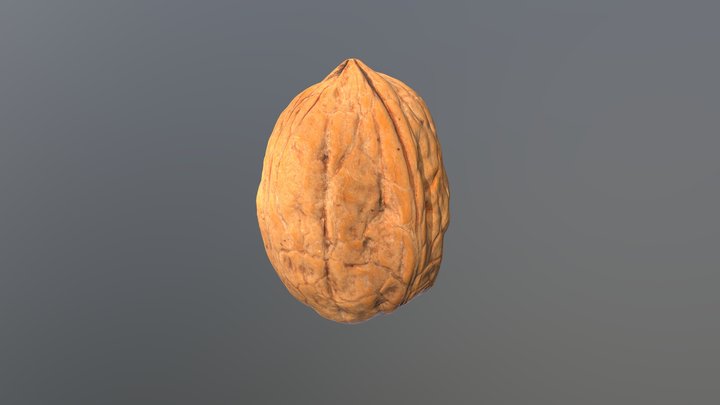 walnut - high resolution 3D Model