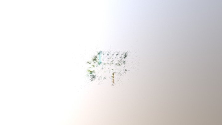 PSM 1 Sparse Cloud 3D Model