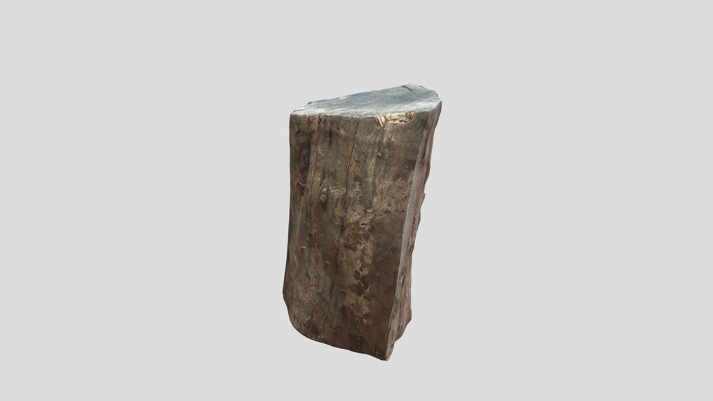 Trunk Half Cutted