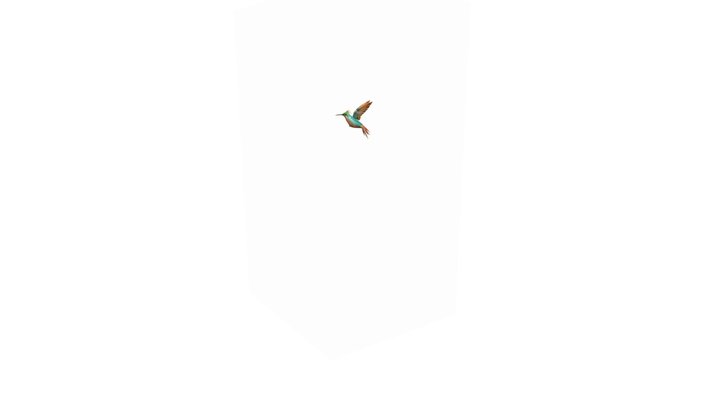 Hummingbird__Flying008 3D Model