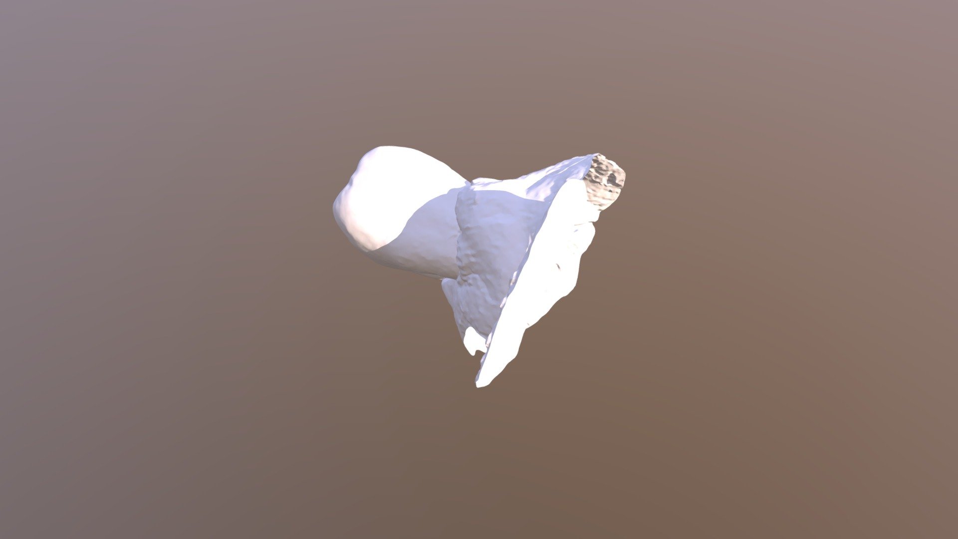 #18, Group8, Scanner2 Lower Jaw
