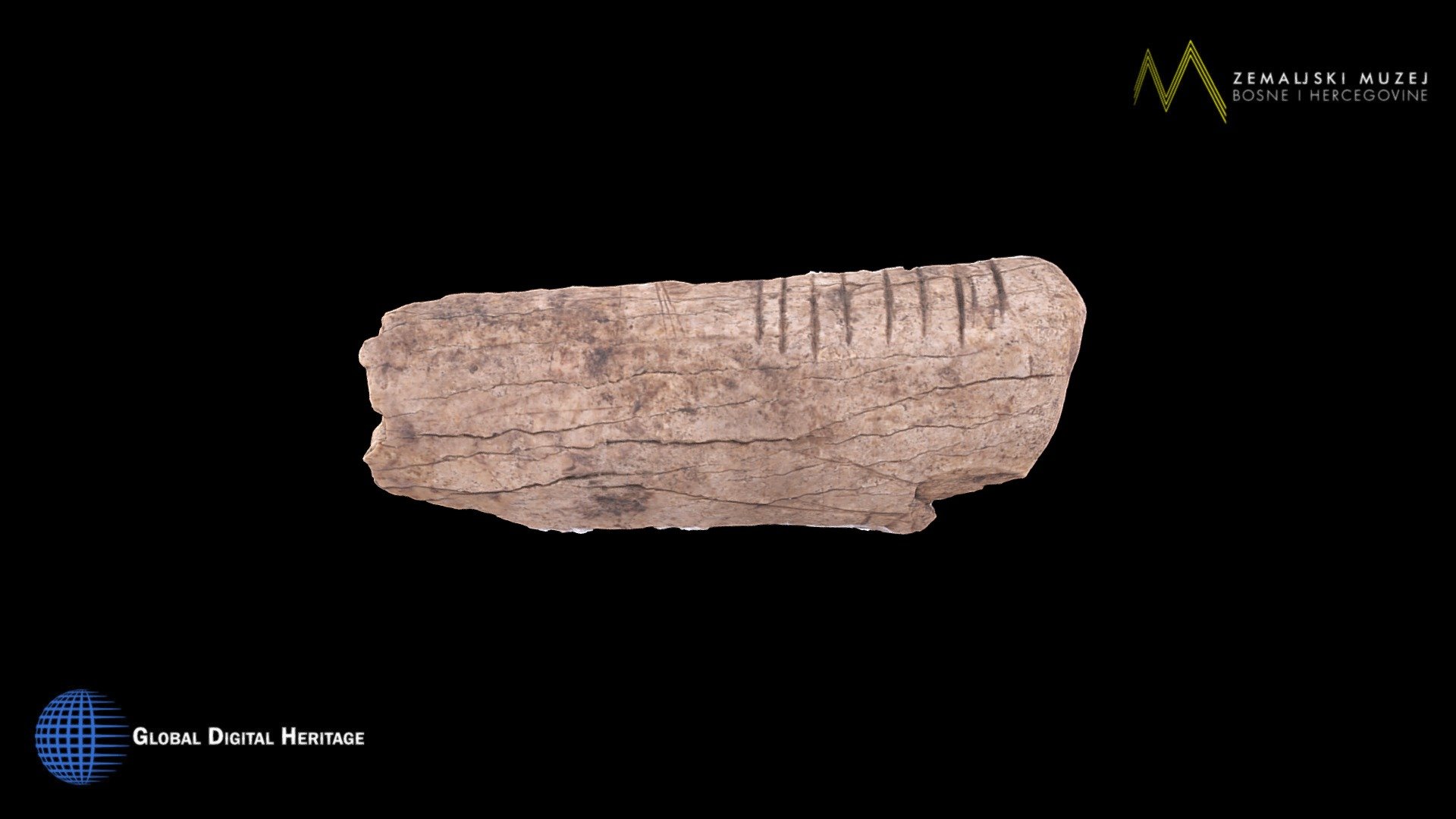 NMB&H, Palaeolithic decorated bone