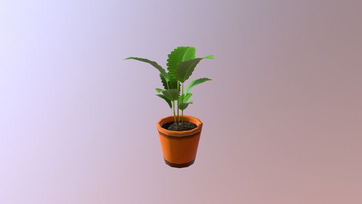 Lady Palm 3D Model