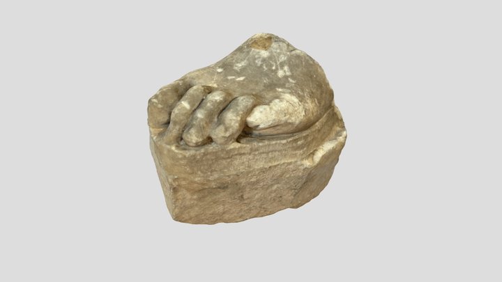 Fragment of a Foot (S.1870.4) 3D Model