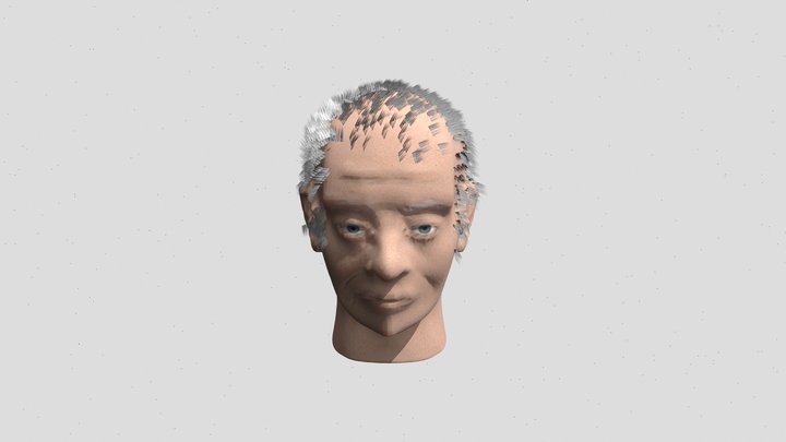 Old man head sculpt (retopologized, with hair) 3D Model