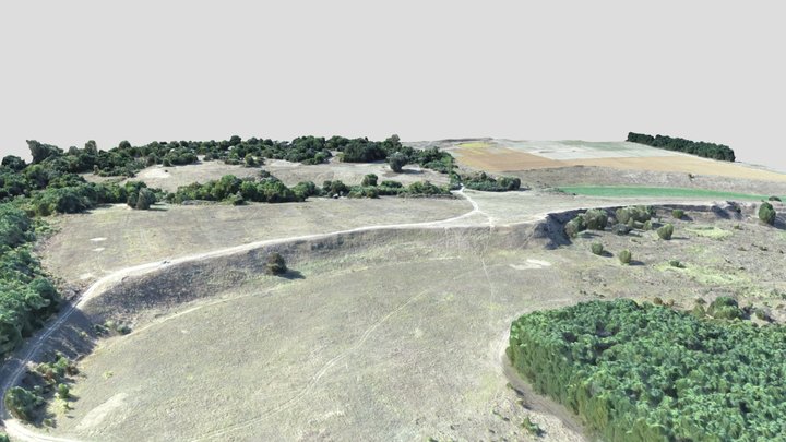 Городище Кардашів вал 2019 3D Model