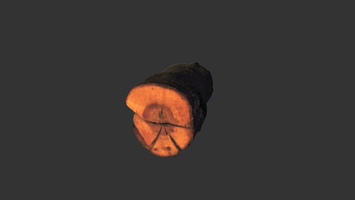 Log 3D Model