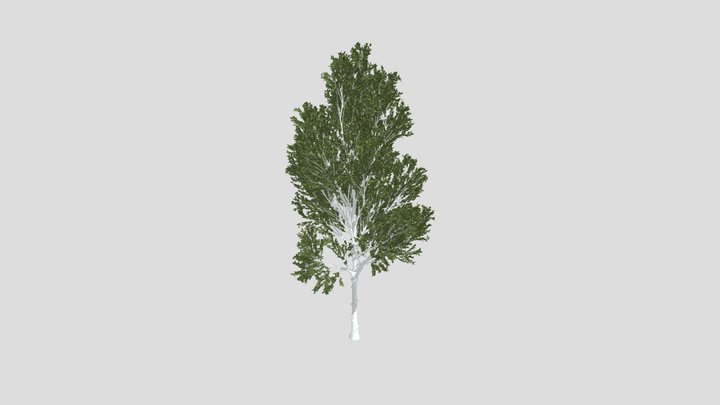 Katsura Tree Variation – Gratis 3D-model STL