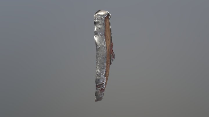 Nanook's Shield 3D Model