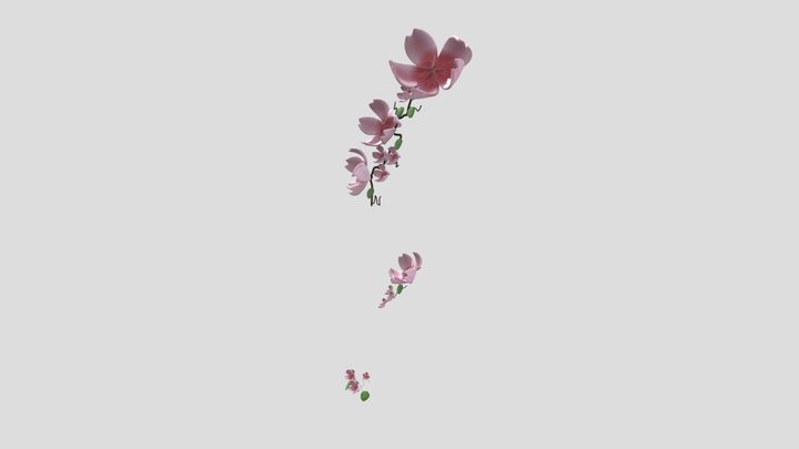 fleur 3D Model