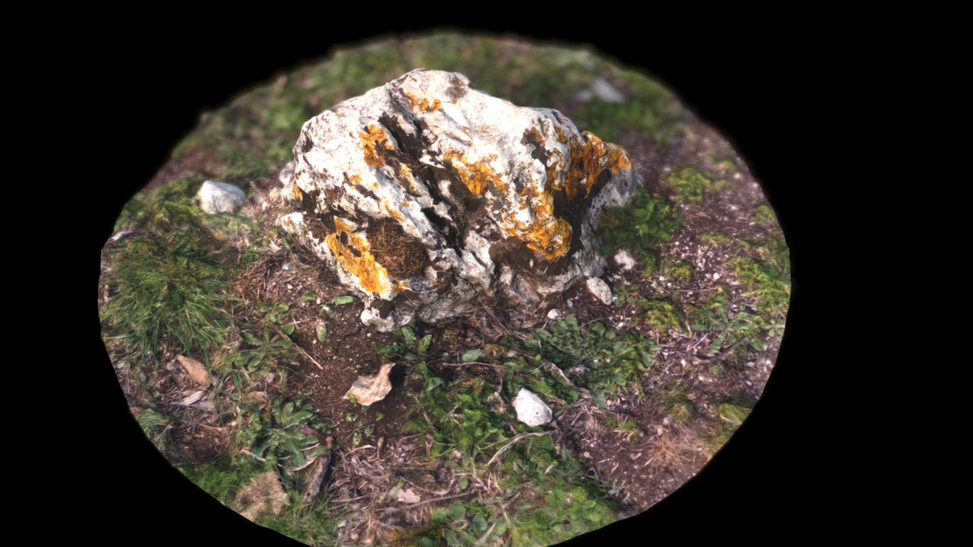 rock scan from Eremo di Sant'Erasmo