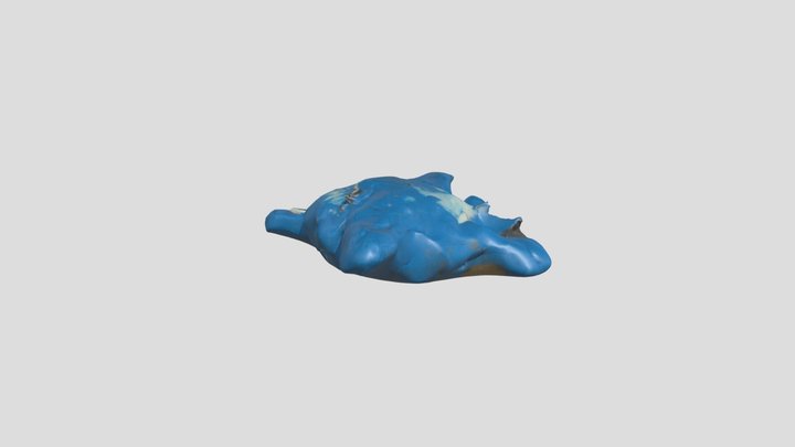 Iris the turtle – Free 3D Model STL