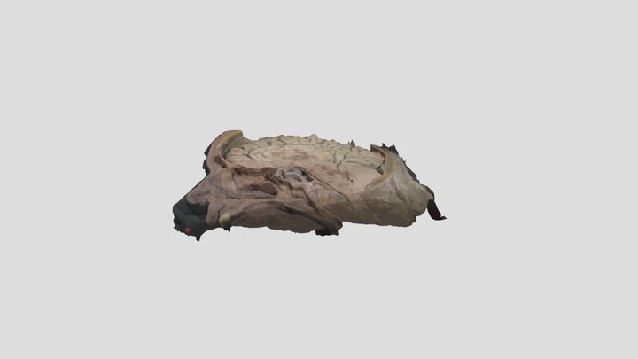 Megantrostomy 3D Model
