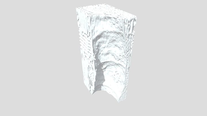 Anatomy of rosewood wood Dalbergia latifolia – Gratis 3D-model STL