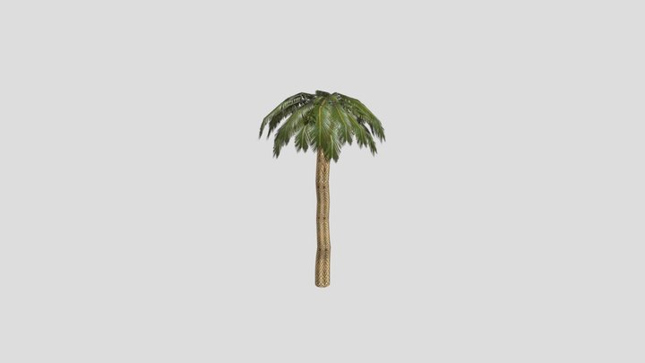 Game ready Palm Tree