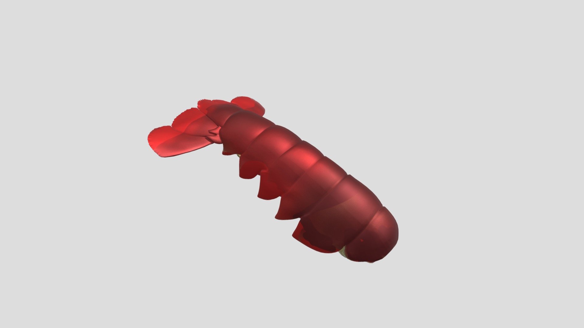 LOBSTER TAIL