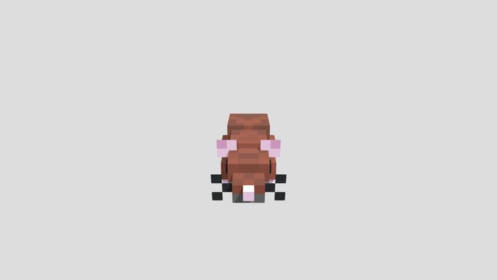 Rat 3D Model