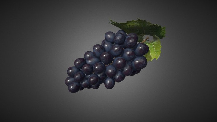 Blue Grapes 3D Model