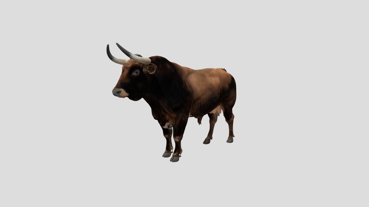 Texas Longhorn Bull – Kostenloses 3D-Modell STL