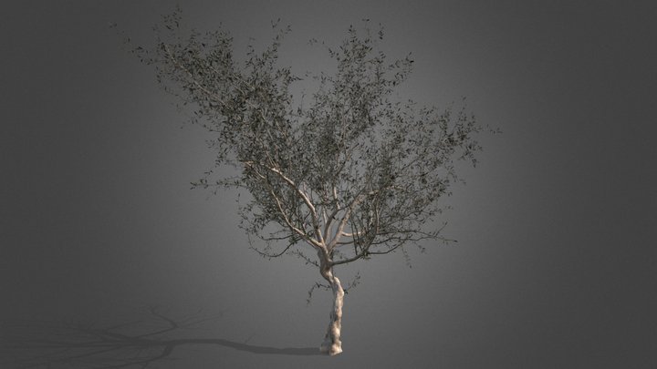 Lloque 3D Model