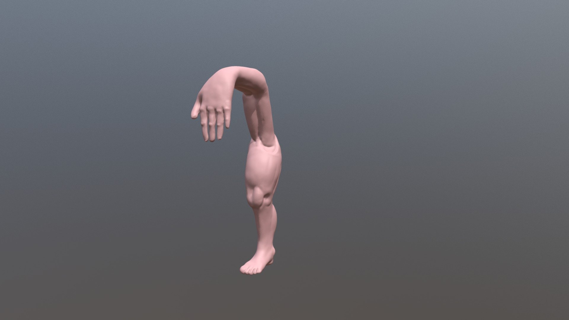SculptJanuary 2018 | Jan 15