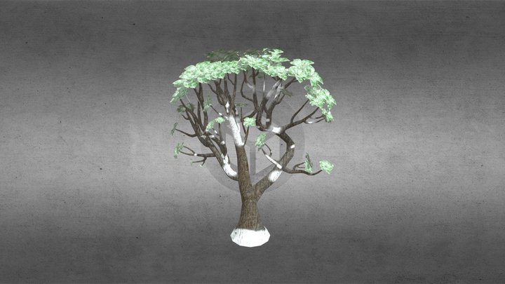 Tree model for my "snow diorama" scene 3D Model