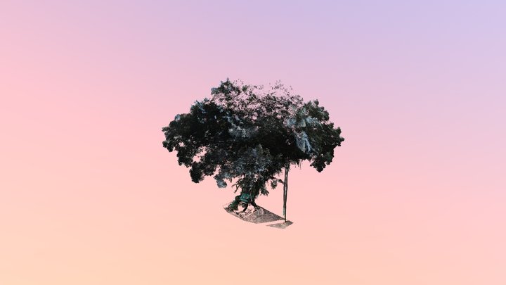 榕樹(B02) 3D Model