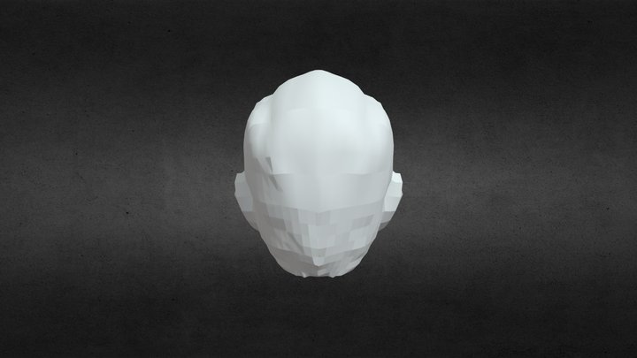 Face 01 3D Model
