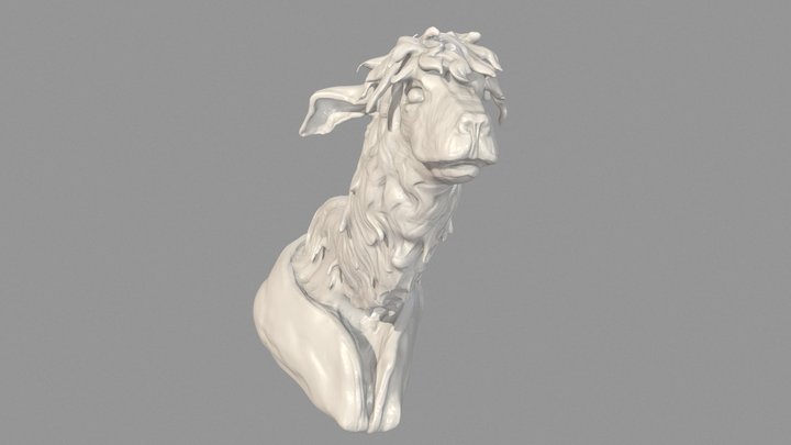 SculptJanuary 2016 - Fur 3D Model
