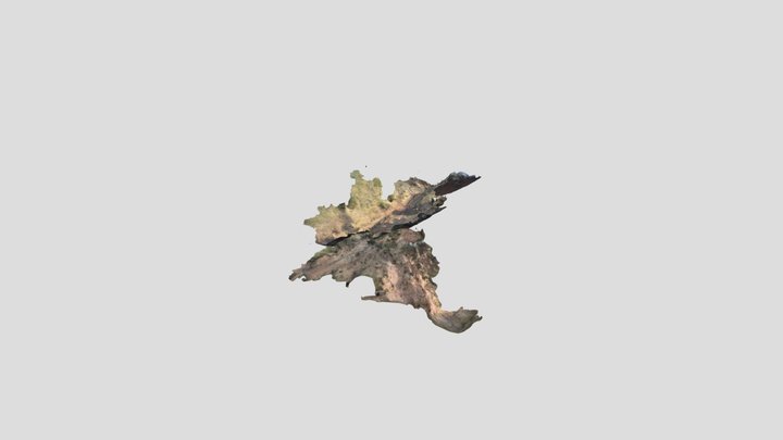 鹿背山城　畝状空堀群 3D Model