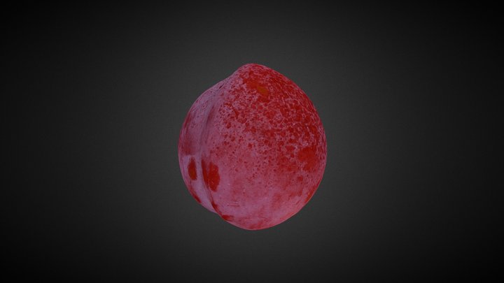 YAMAGATA Plum 3D Model