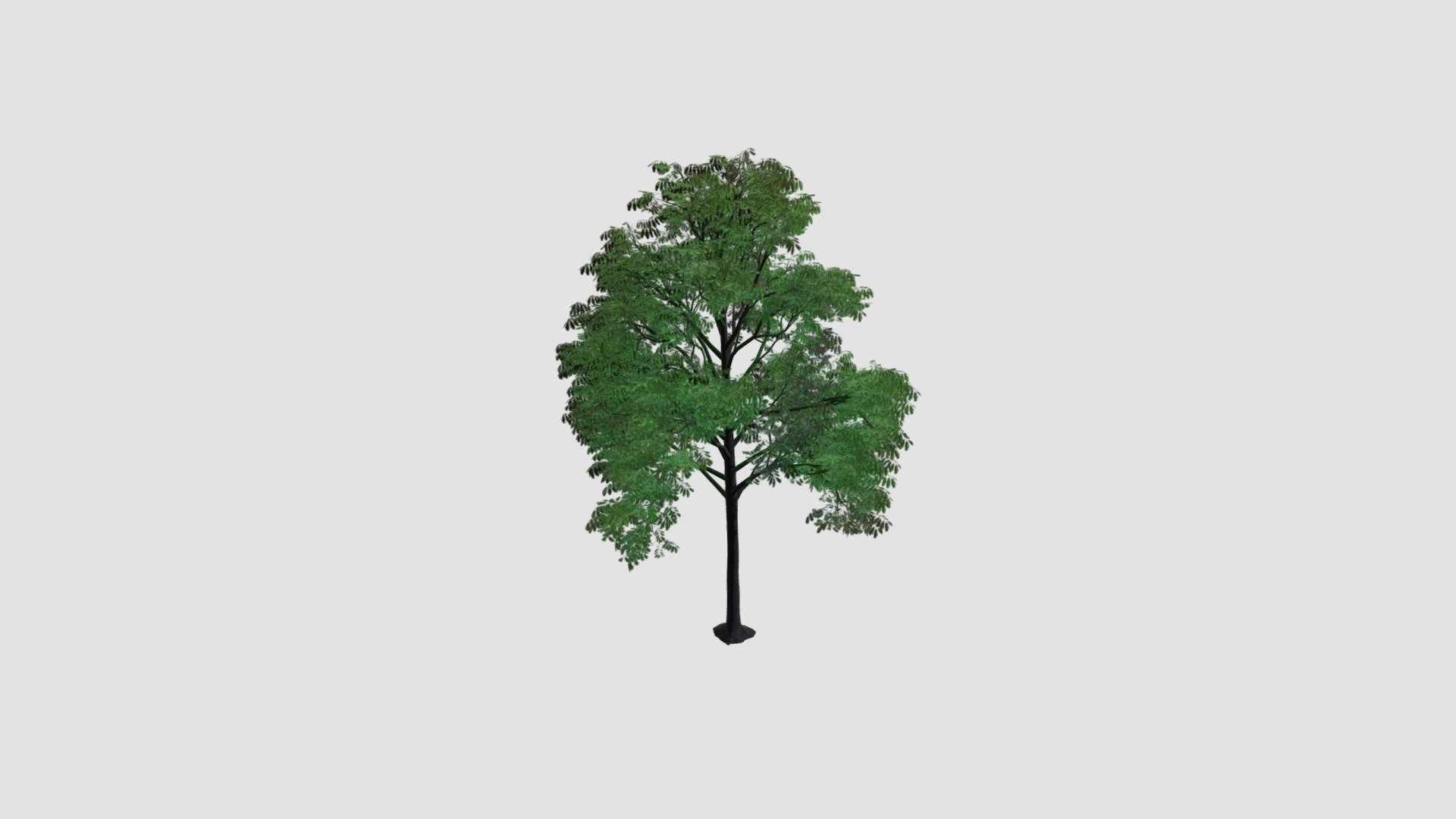 Tree — Sketchfab embed 3D viewer