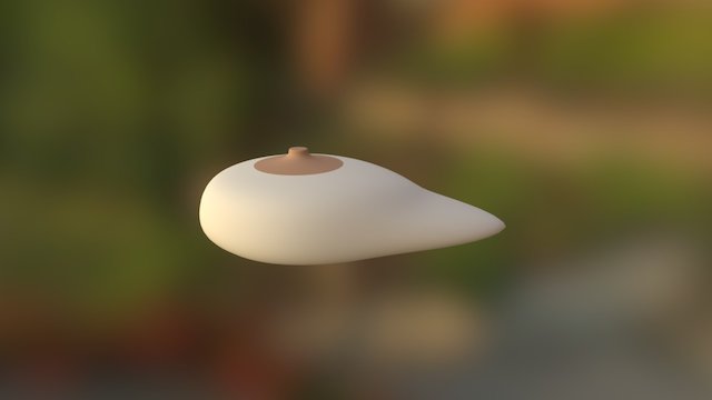 breast 1 3D Model