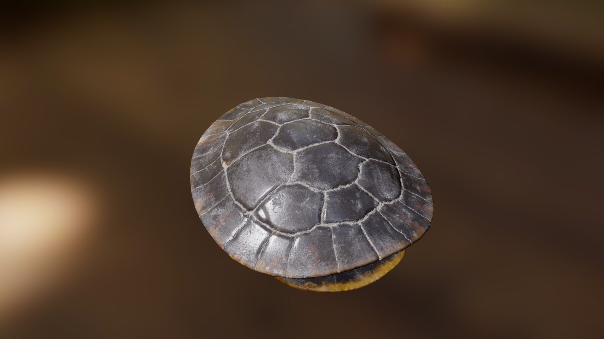 Turtle Shell progress
