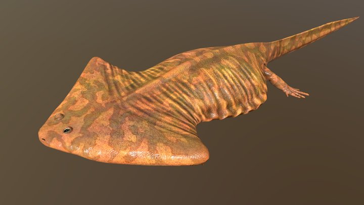 Diplocaulus magnicornis 3D Model