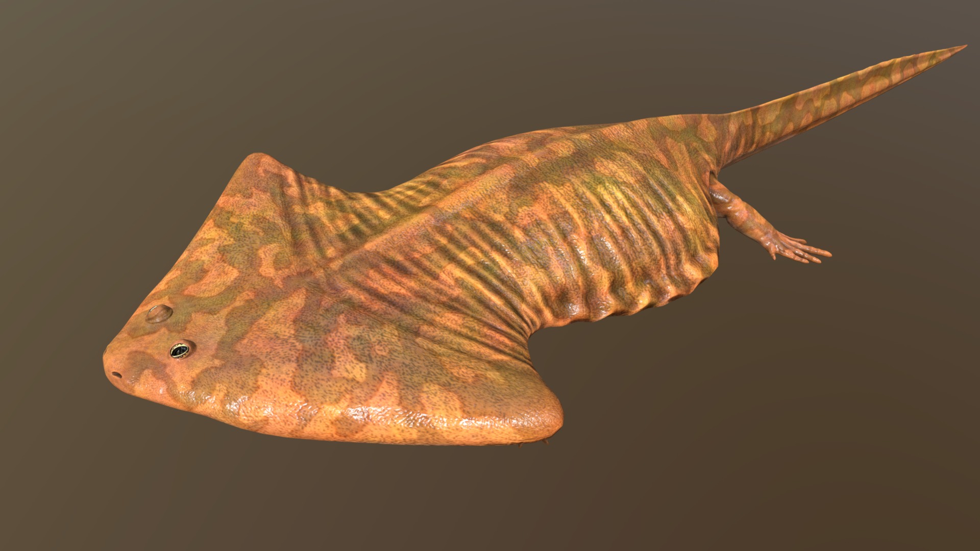 3D model Diplocaulus magnicornis - This is a 3D model of the Diplocaulus magnicornis. The 3D model is about a brown lizard on a black background.