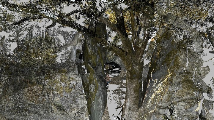 Can you find the hidden climbers?