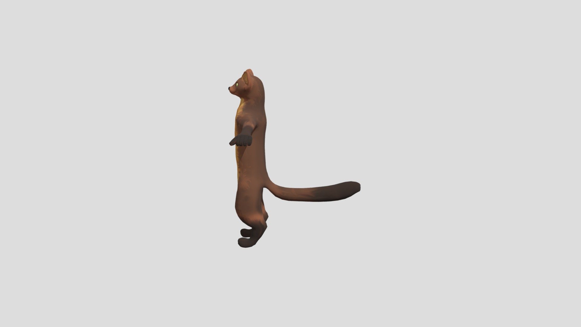 Pine Marten - Download Free 3D model by nobody_454 (@mhawley1) [2d44c32 ...