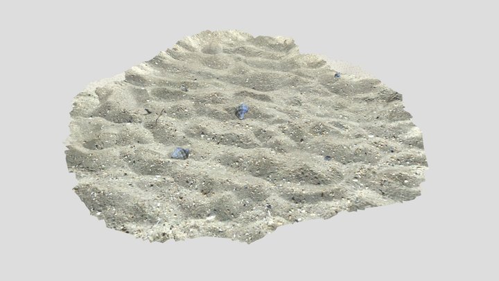 Beach Scene (sands with shells 3D Model