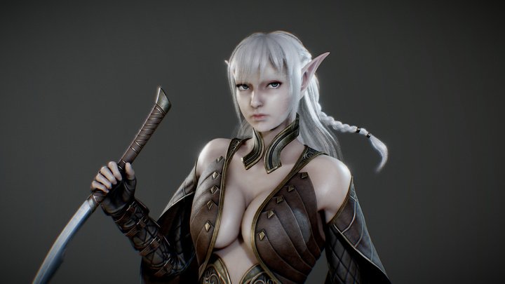 Elf Assassin 3D Model